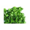 Organic Fresh Parsley Bunch 50g