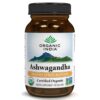 Organic India Organic Ashwagandha Healthy Stress Response 90ct (Case Pack of 12)