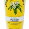 Lemon Myrtle Fragrances Shampoo 200ml