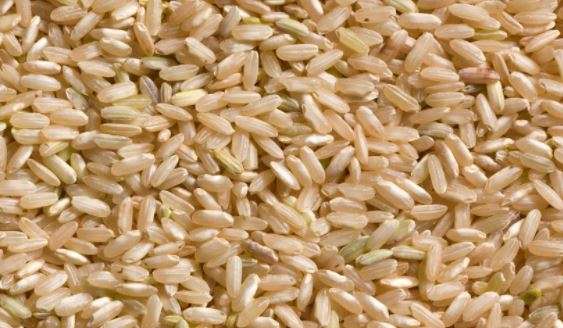 SpiceBox Organics Brown Rice 5kg