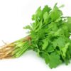 Local Organic Coriander 100g