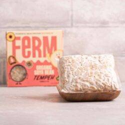 FERM Fresh Organic Soya Bean Tempeh (200g x 2) 400g